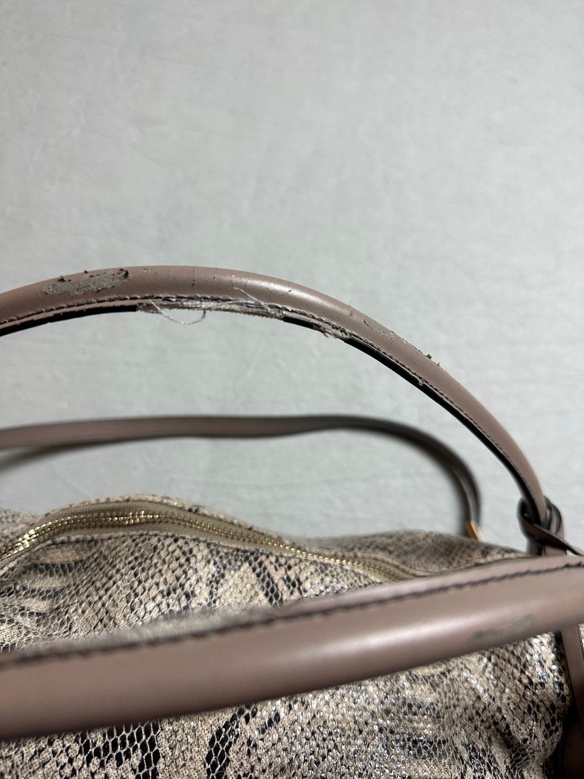 Cavalli Class Snake Bag