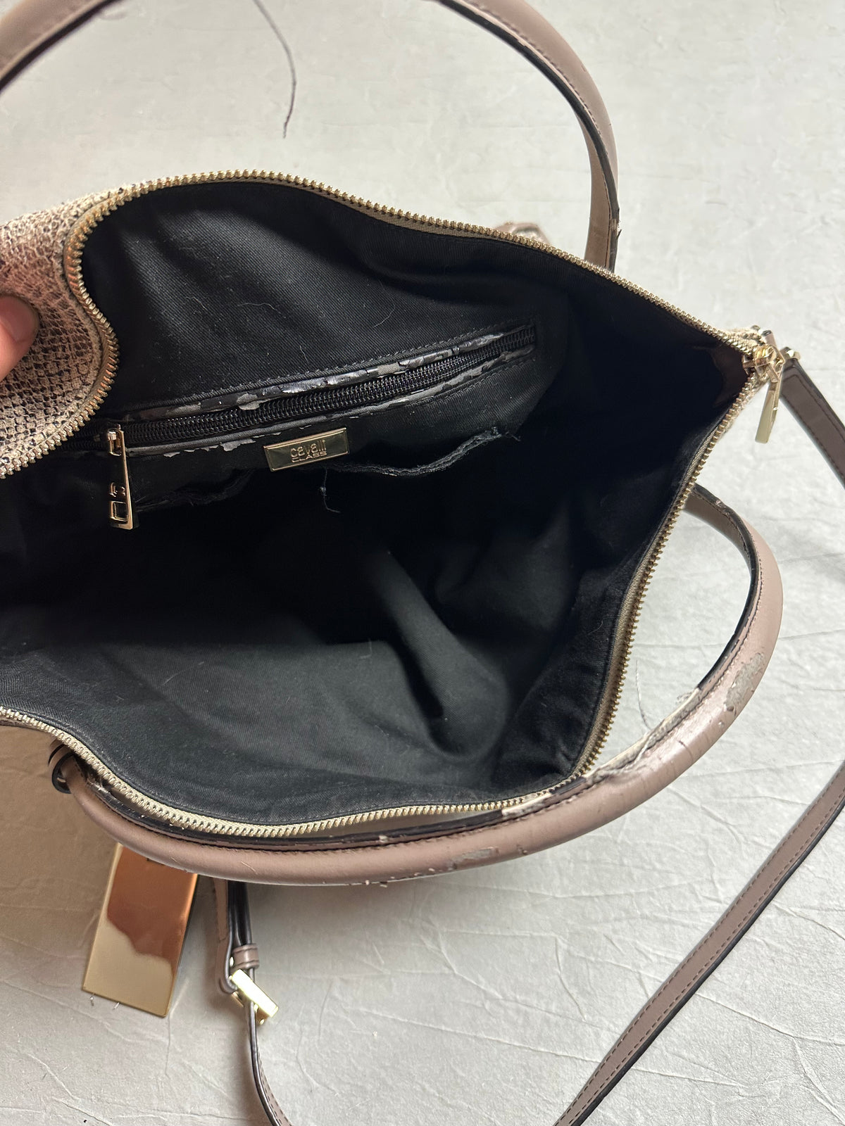 Cavalli Class Snake Bag