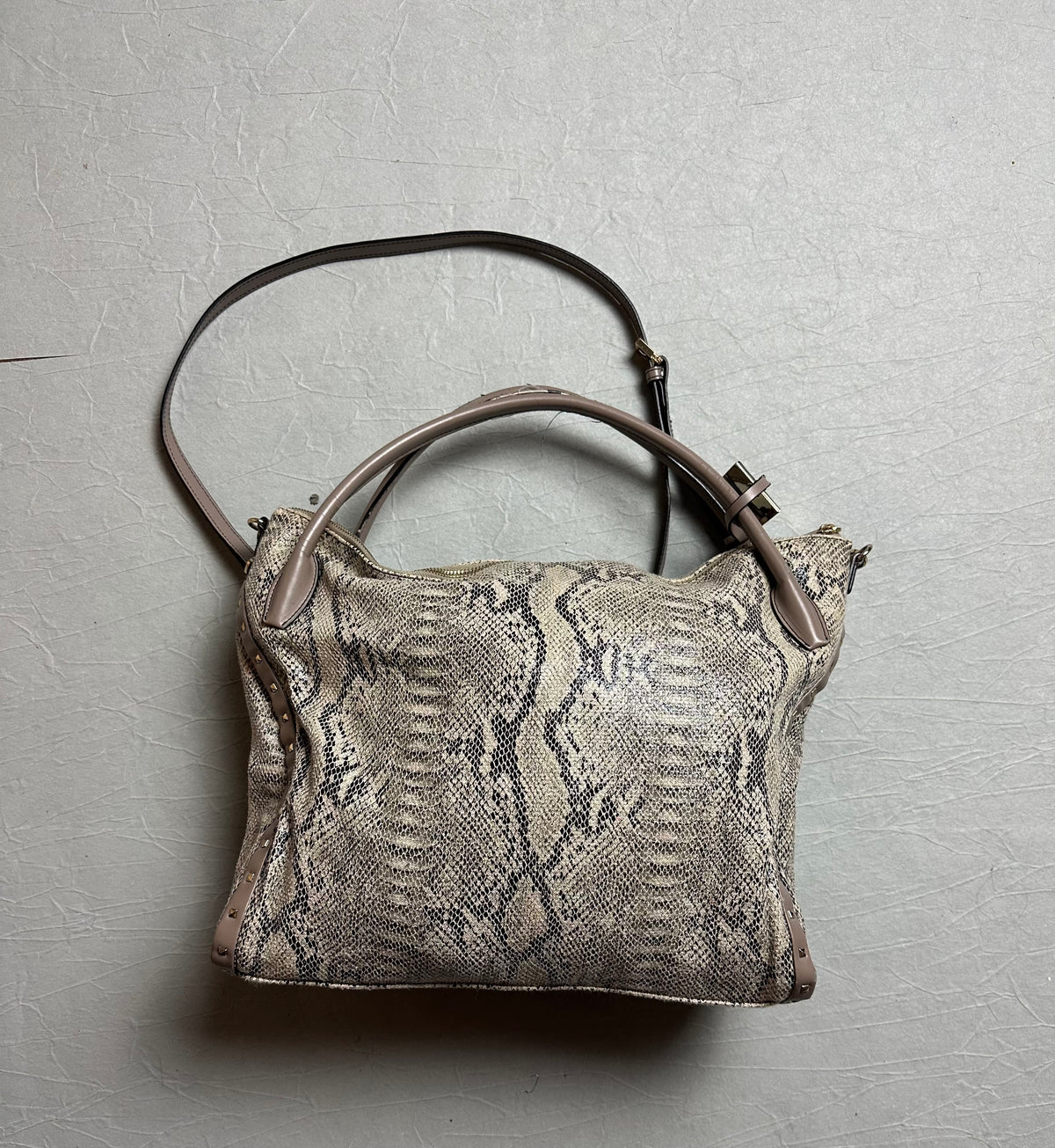 Cavalli Class Snake Bag